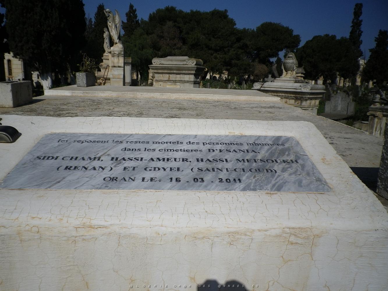 CIMETIERE DE TAMAZOUHET D ORAN EN MARS 2012  (114).JPG